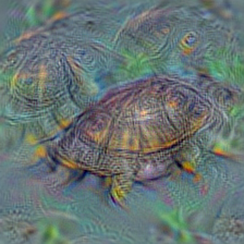 n01667778 terrapin